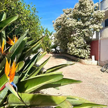 Myours Salento Apartment *